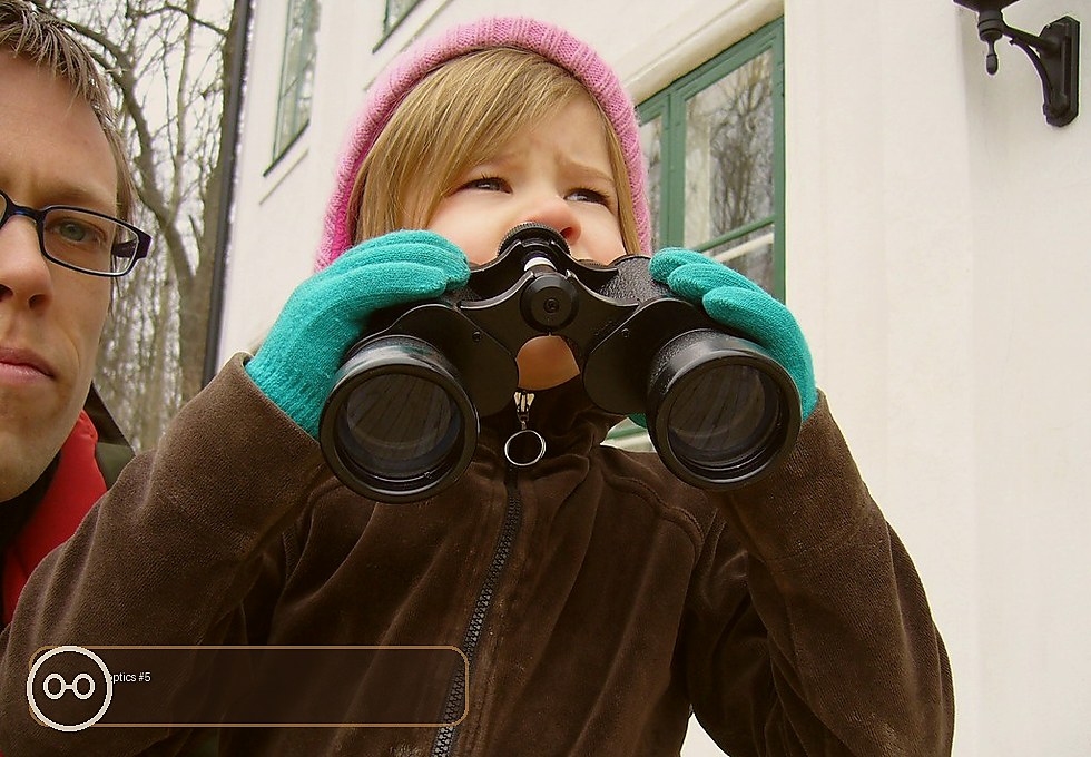 Birdline ED 8x42 Binoculars product photo